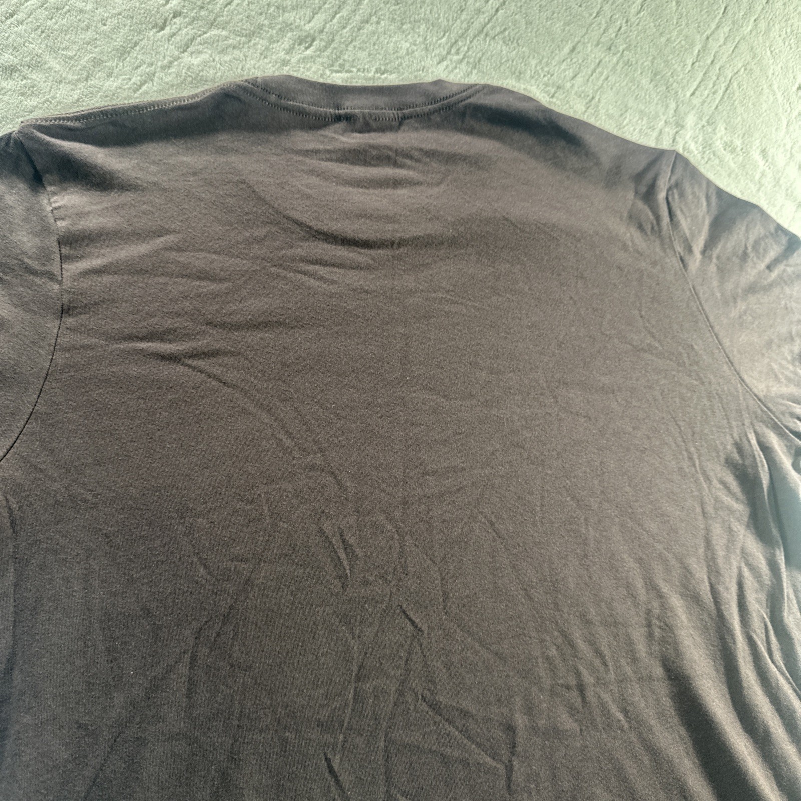 Pendleton Men’s graphic T Shirt Brown Short Sleeve Outdoors Camping LARGE NWOT