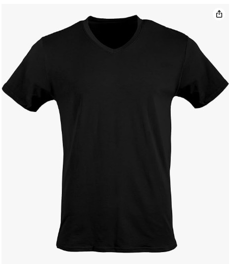 6-Pack Gildan Men’s V-Neck T-Shirt Small Black Multipack, Style G1103