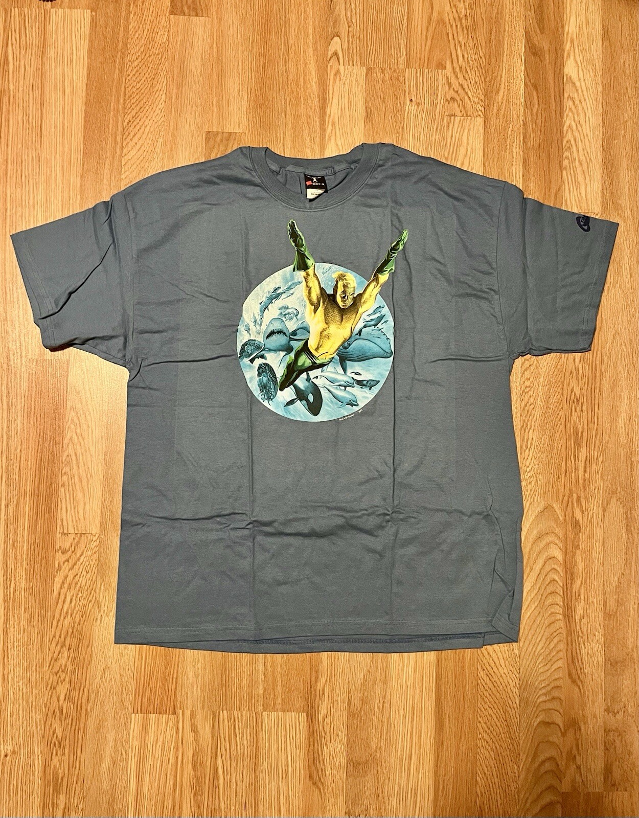 Aquaman Blue Shirt DC Comics Superhero Hanes Beefy Mens 2XL XXL
