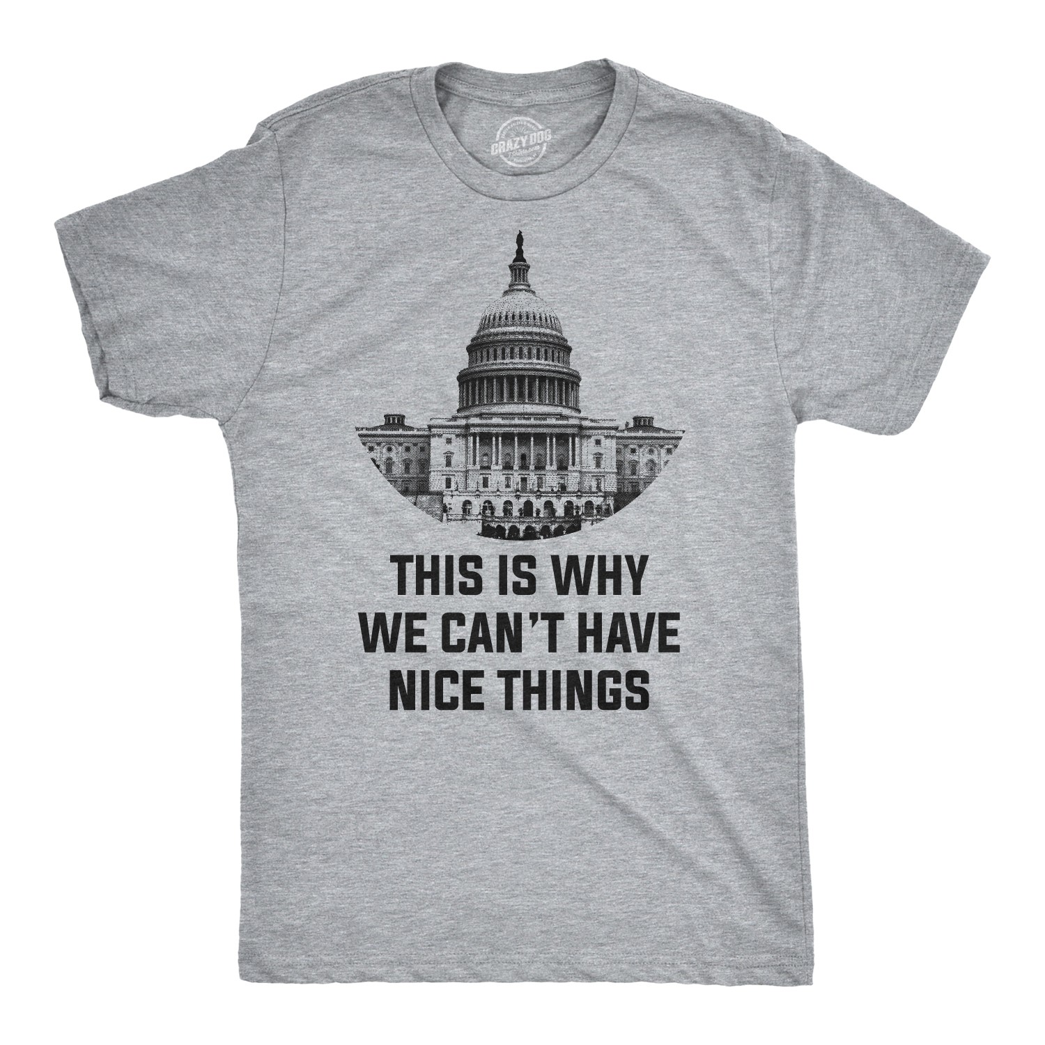 This Is Why We Can’t Have Nice Things T Shirt Funny Anti Capitol Political Tee