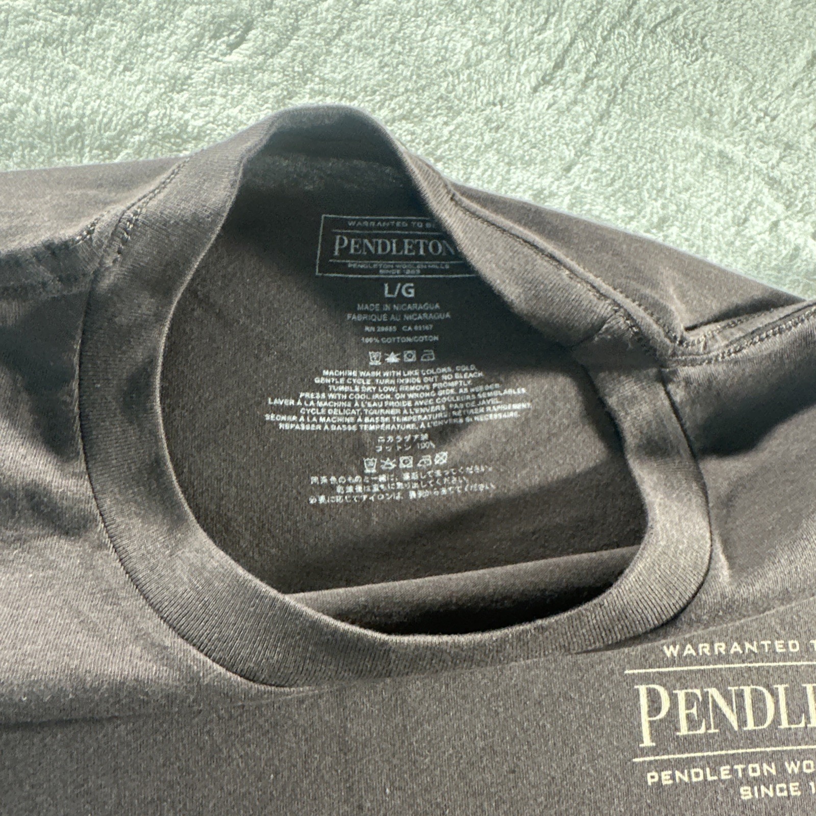 Pendleton Men’s graphic T Shirt Brown Short Sleeve Outdoors Camping LARGE NWOT