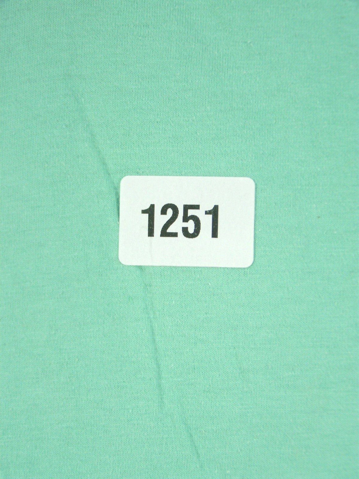 Turquoise Color. Basic Adult Large Tee Shirt Short Sleeve L Crew Neck T Men’s