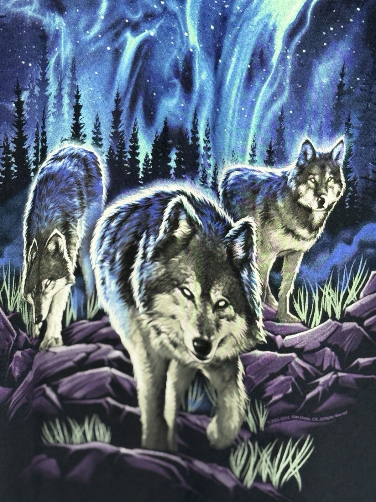 DOM Howling Wolf Pack Graphic Tee Shirt Mens L Black Purple Blue Animal Preowned