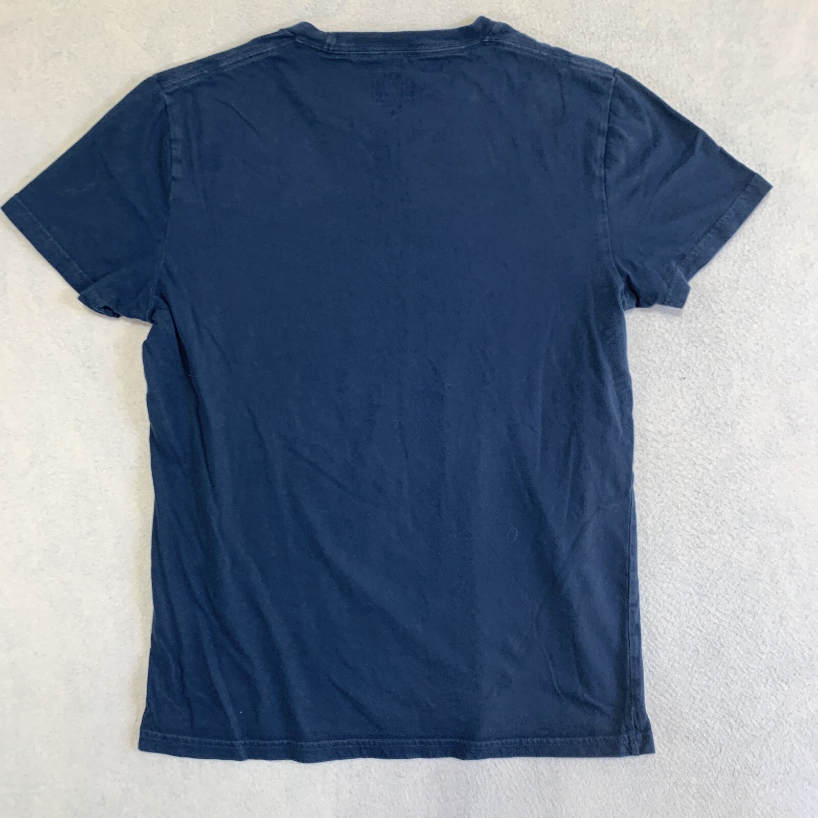 Hollister T Shirt Mens Small Blue Must Have Collection Logo 100% Cotton