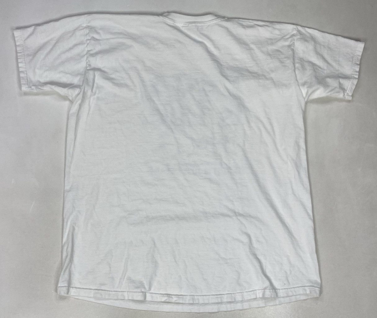 VINTAGE DNA Is Life The Rest Is Just Details Graphic T-shirt Men XXL White