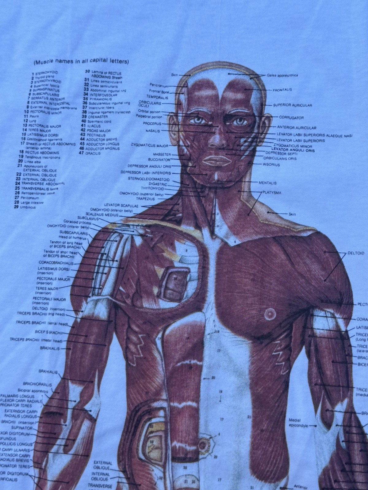 Vintage 90s Kurt Cobain Nirvana Anatomical Chart Tee Fruit of Loom Tag Sz XL
