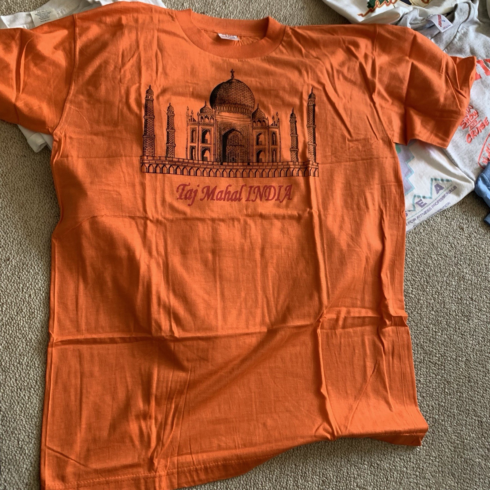 Lot of 12 Vintage T Shirts Travel 80s-Y2K. Soho NYC, WTC, India, Austin, Branson