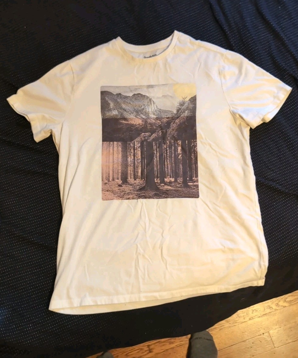 Mens L Graphic T Shirt short Sleeve cream color Mountains Trees Forest Floor
