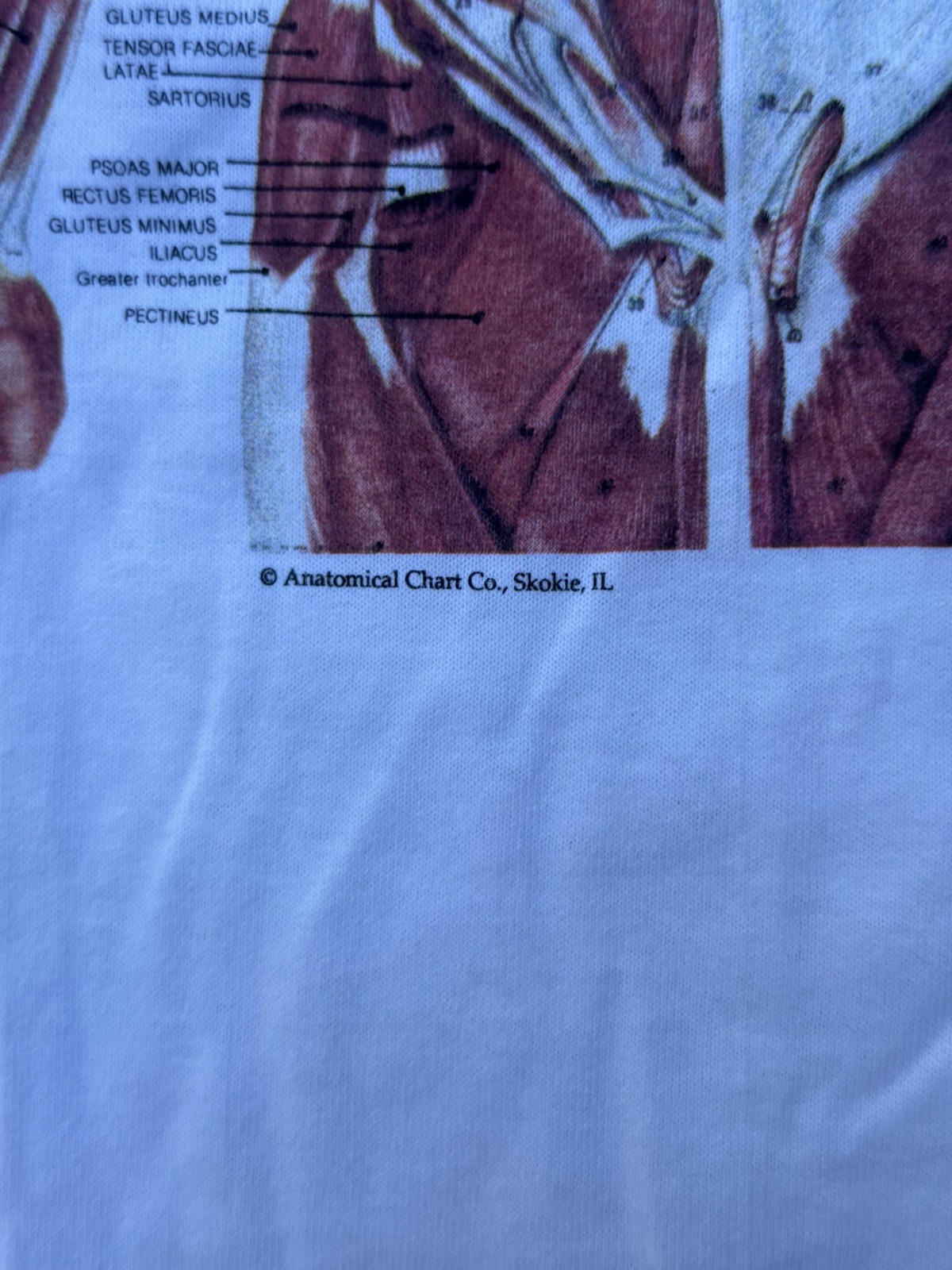Vintage 90s Kurt Cobain Nirvana Anatomical Chart Tee Fruit of Loom Tag Sz XL
