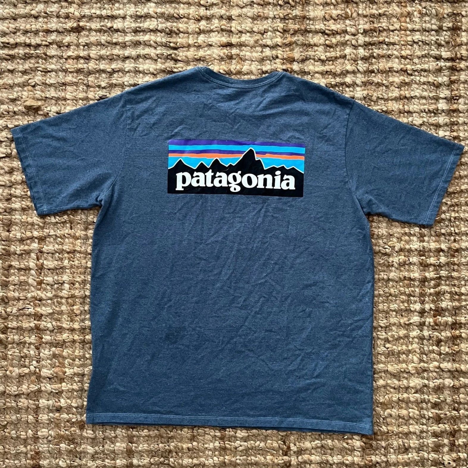 Patagonia T Shirt Mens Large Blue ResponsibiliTee Pocket Back Logo Graphic