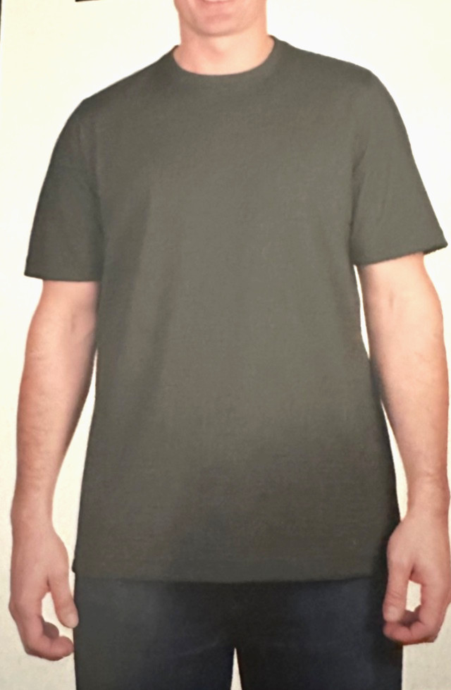 KIRKLAND MENS PIMA COTTON SLUB TEE SHIRT GRAY, GREEN, NAVY, AND TAN