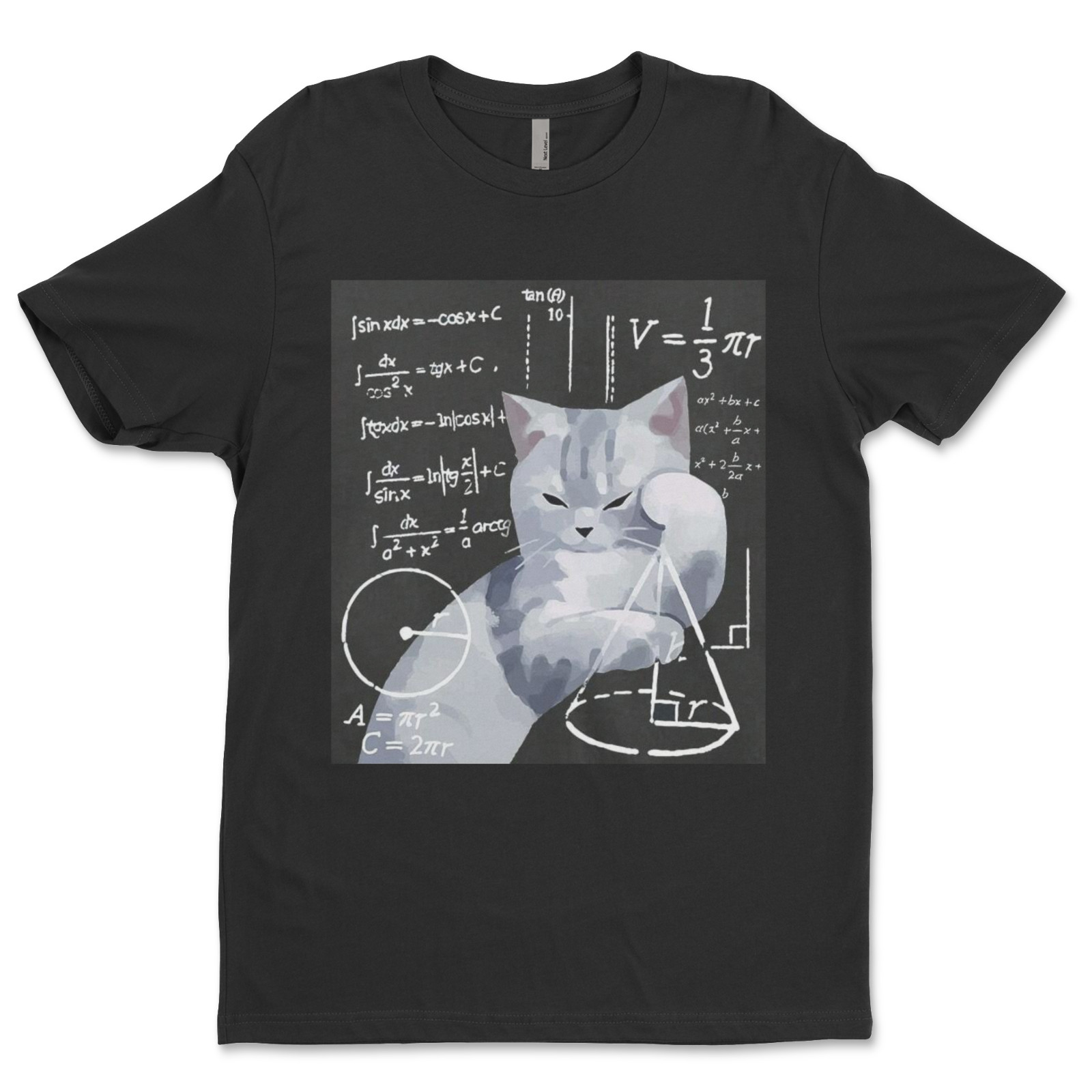 DTF Math Cat/ Custom Unisex Soft Style T-Shirts, Next Level- Cotton