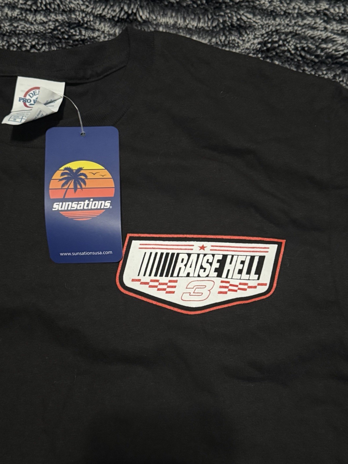 Delta Pro Weight Raise Hell Praise Dale NASCAR Dale Black T-Shirt, Size S