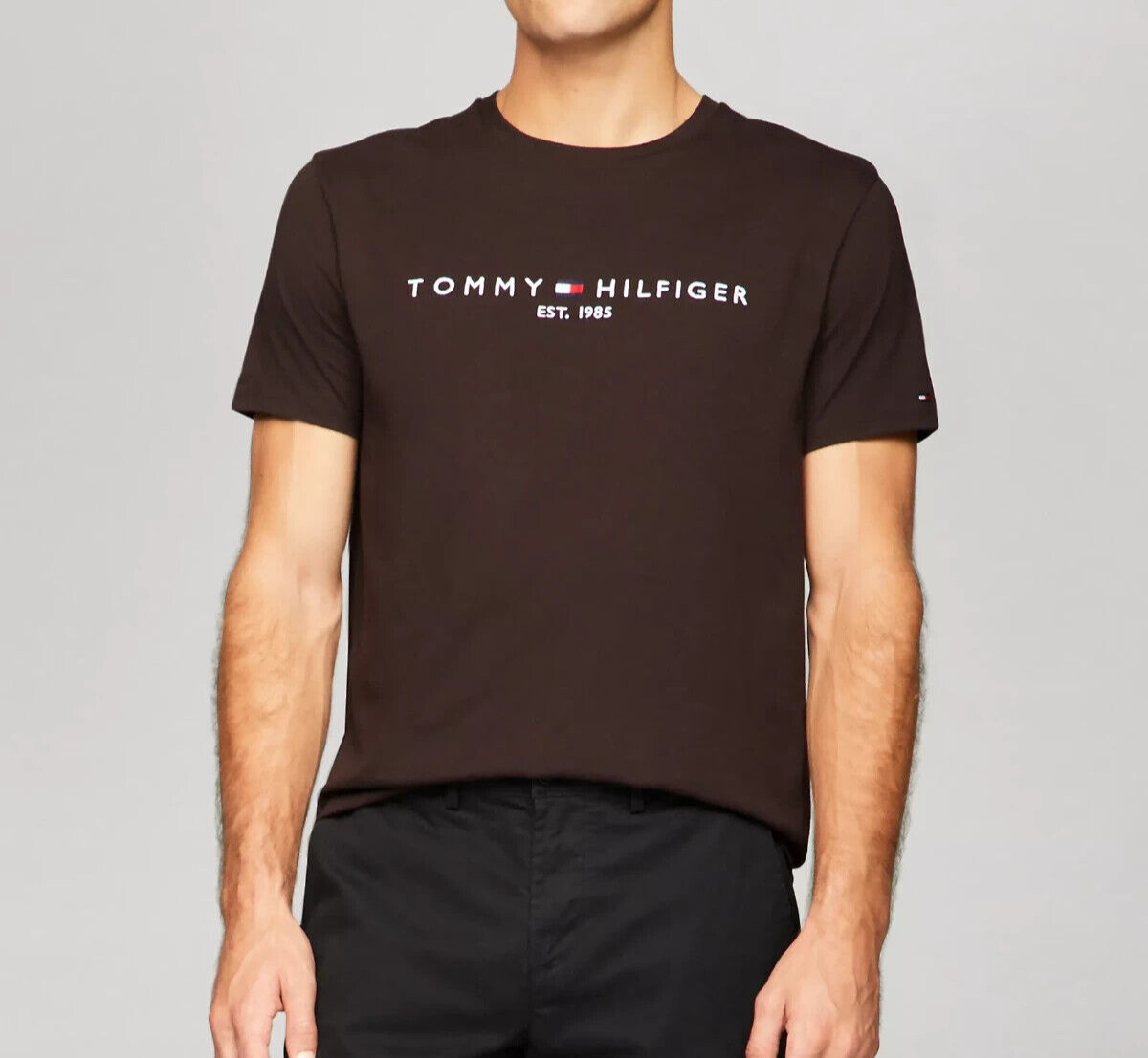 Tommy Hilfiger Mens Regular Fit Embroidered Logo All Cotton Short Sleeve T-Shirt