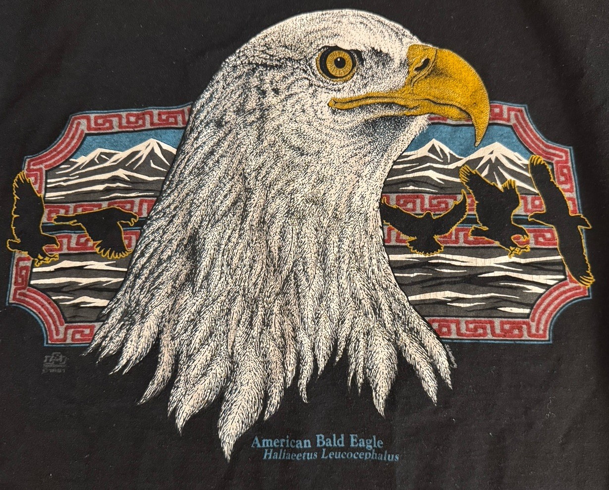 Vintage 90s JERZEES 50/50 Black Bald Eagle Made USA Crew Neck T-Shirt Unisex M