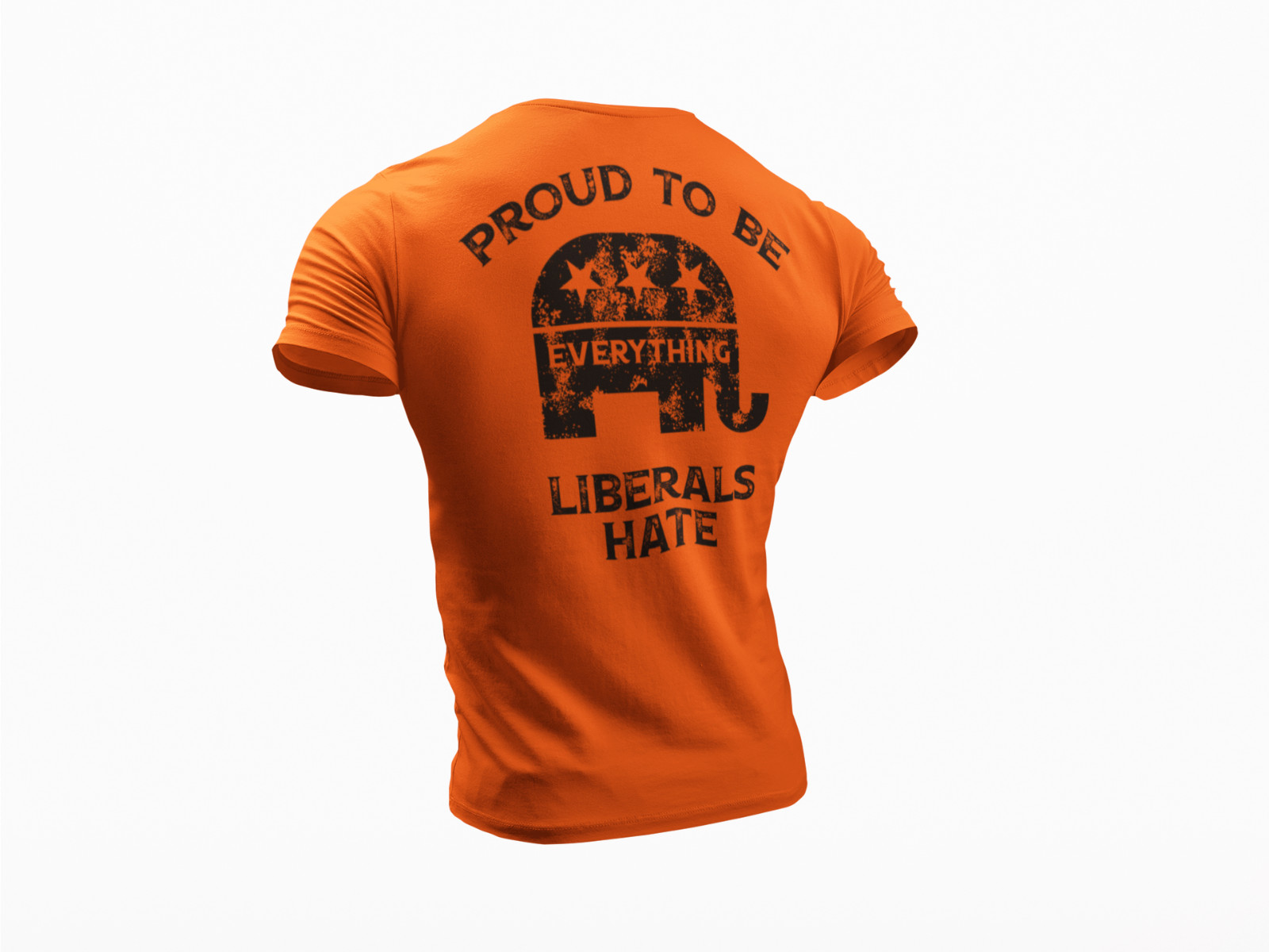 Proud To Be Everything Liberal Hates Political Trump 2024 Republican Tee