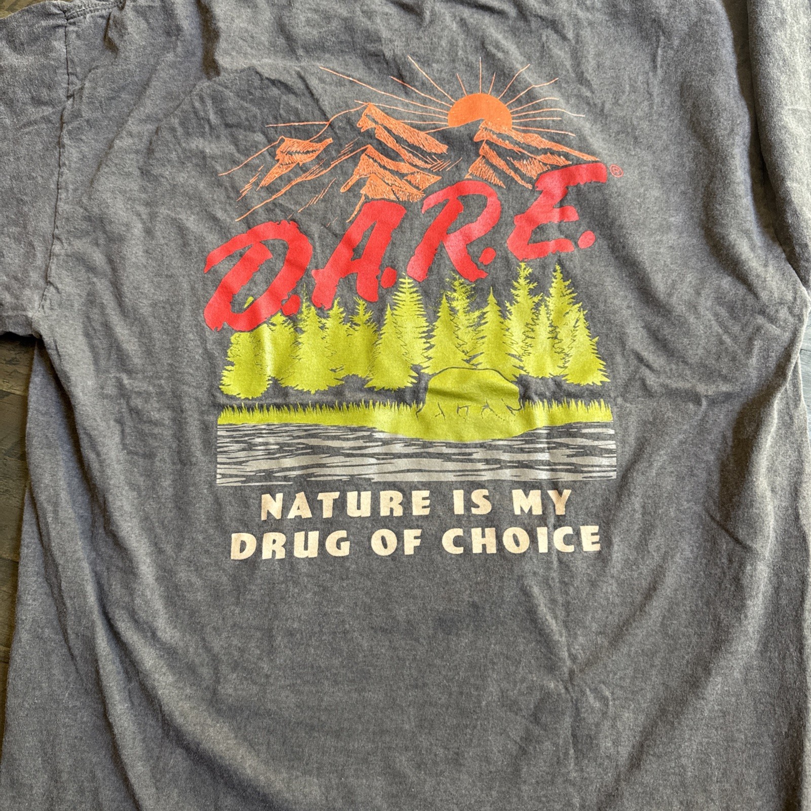 D.A.R.E. Nature Is My Drug Of Choice T Shirt Large Gray Fade Bear Graphic Cotton