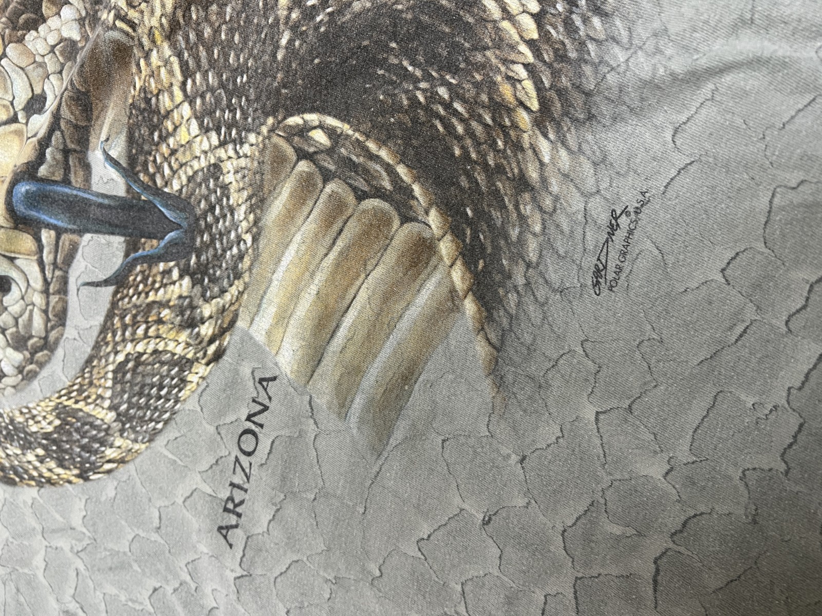 Polar Graphics U.S.A. Arizona Snake Graphic Gray Men’s L Crew Neck T-Shirt