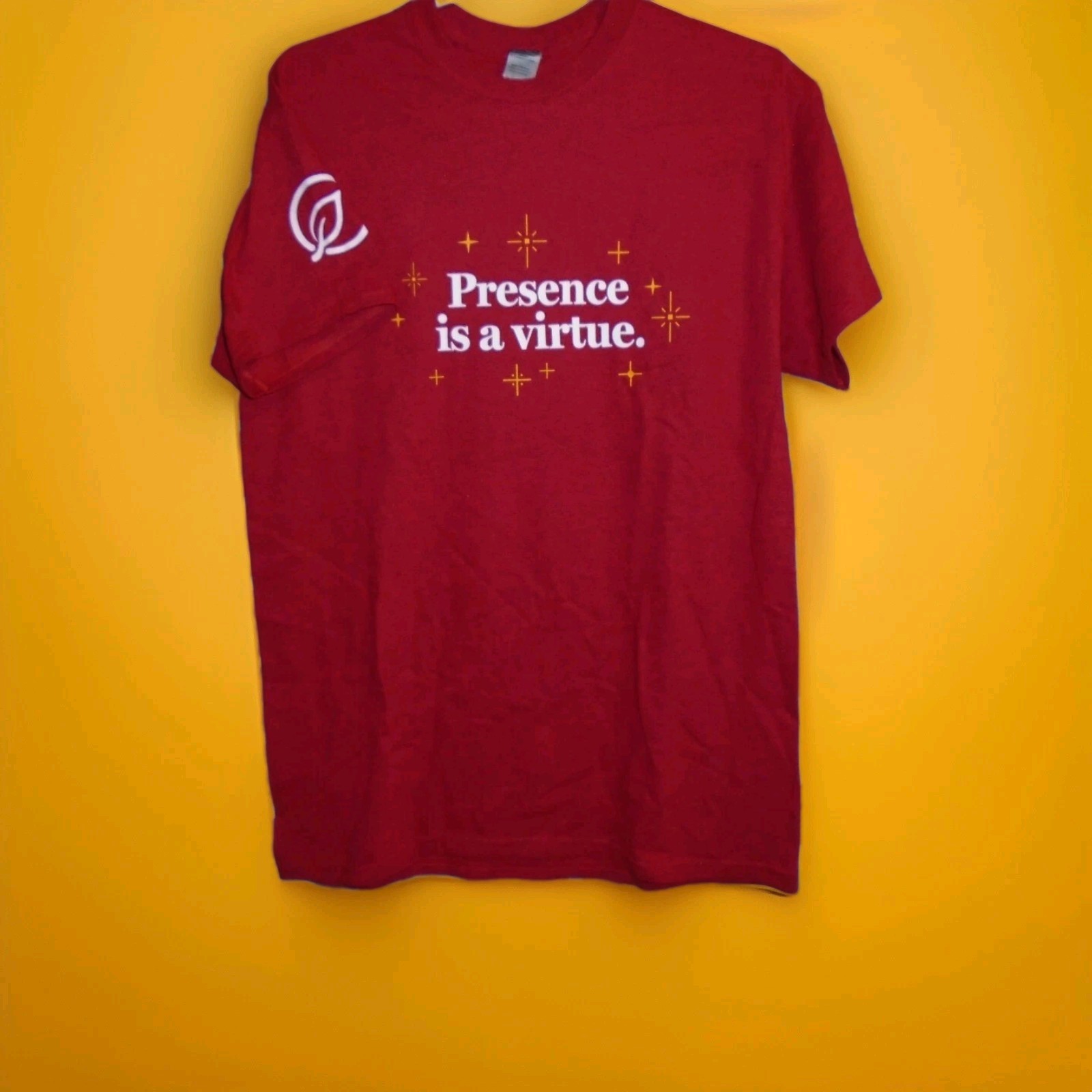 30 DAYS OF PRESENCE MENS PRESENCE IS A VIRTUE TSHIRT SIZE MEDIUM WORN 3 TIMES