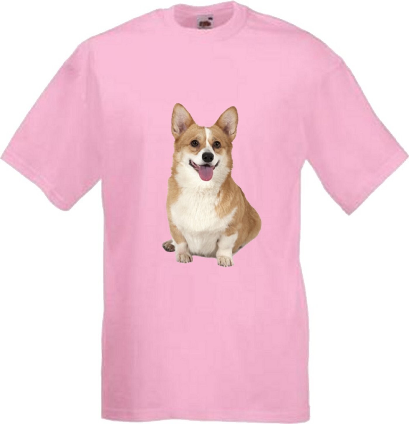 Corgi Dog Pet Family Novelty T Shirt Various Colours And Sizes