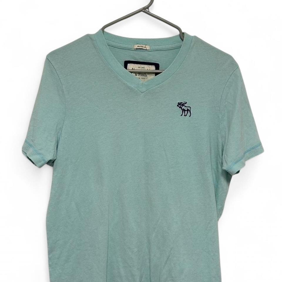 2000s Abercrombie & Fitch Men Muscle Fit Moose Embroidered Shirt Mint V-Neck