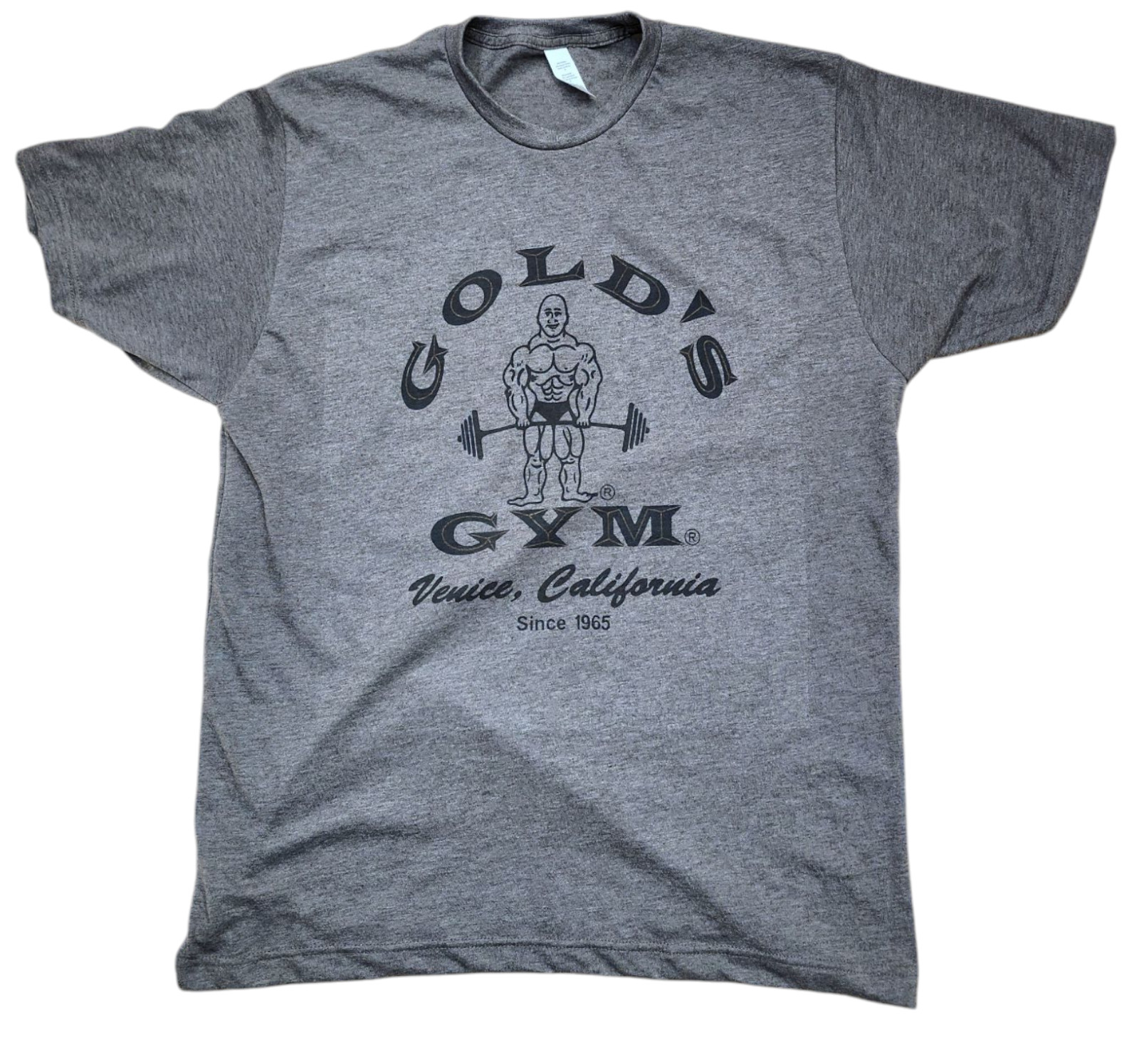 Men’s Golds gym 1965 logo Color Vintage Charcoal