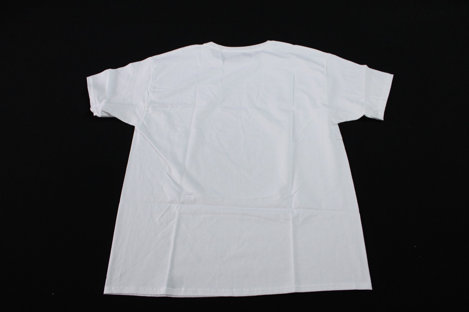 Champion Men’s Short Sleeve T Shirt White Assorted Sizes S-4XL NWT