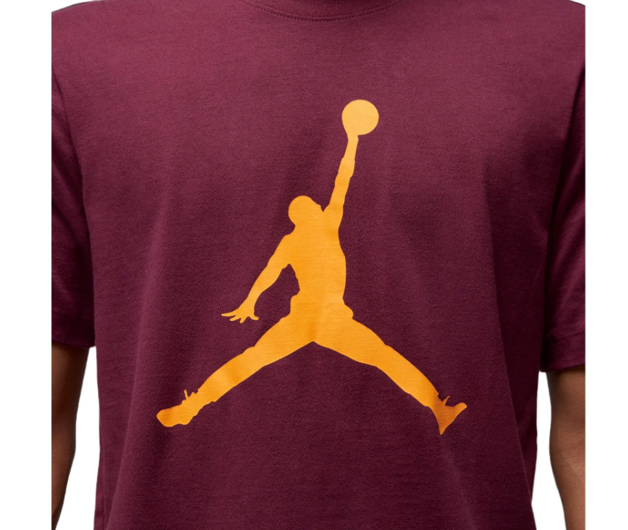 Nike Air Jordan Jumpman Logo Tee Mens T-Shirt Red Multi Size Casual Top