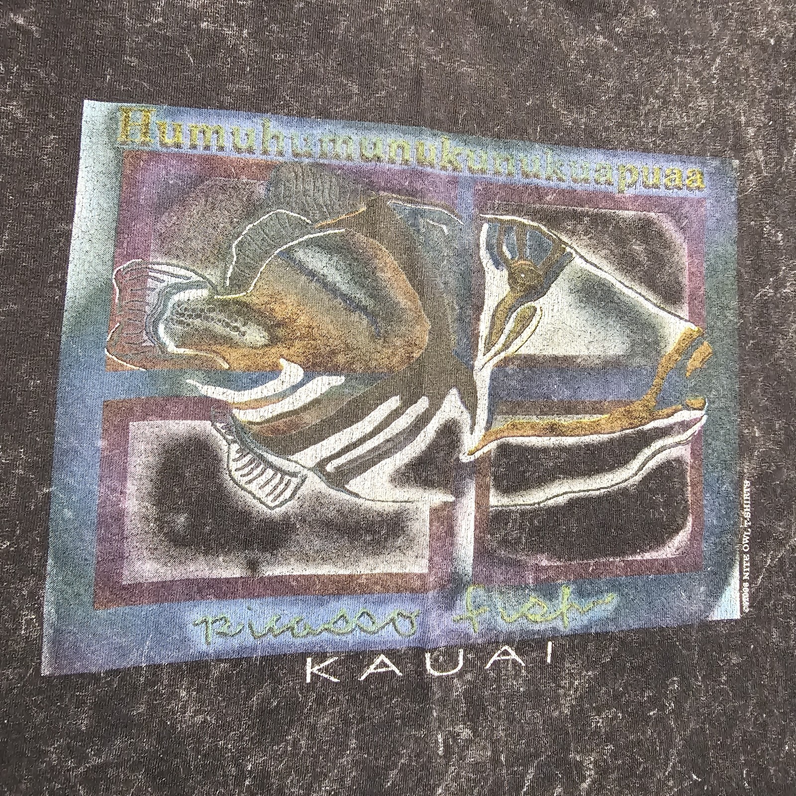 Vintage 1998 Picasso Fish Kauai T-shirt Mens XL Hawaii Grunge Fishing 90s Travel