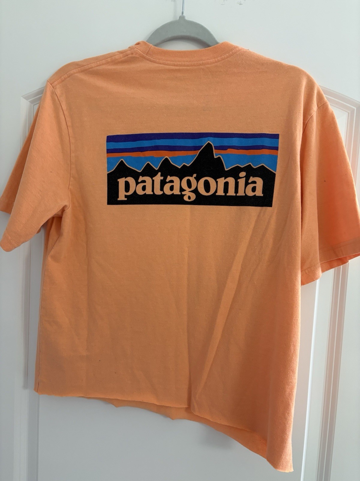 🔥Patagonia T Shirt Size Small (Cut-Off) Salmon Color Pocket Tee Recycled Poly