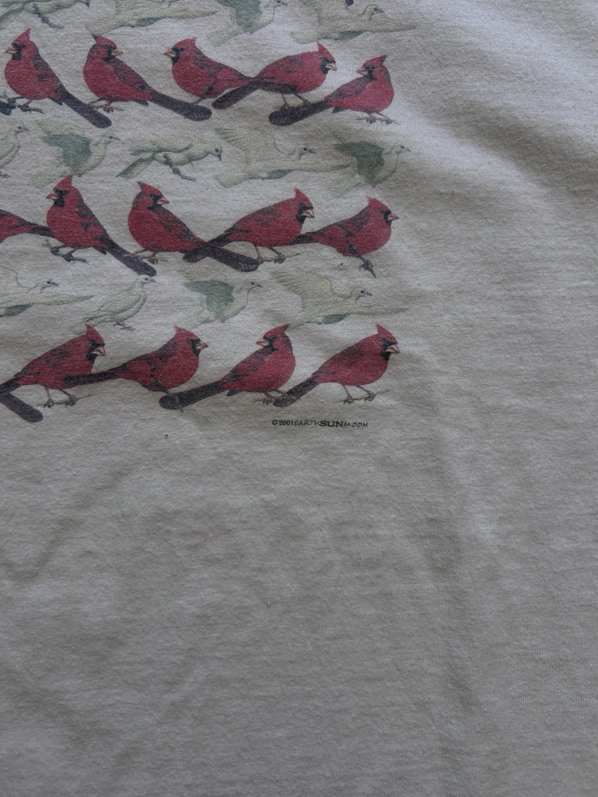 Gildan Ultra Cotton Men’s XL Beige Heavyweight Bird Graphic Tee 2001