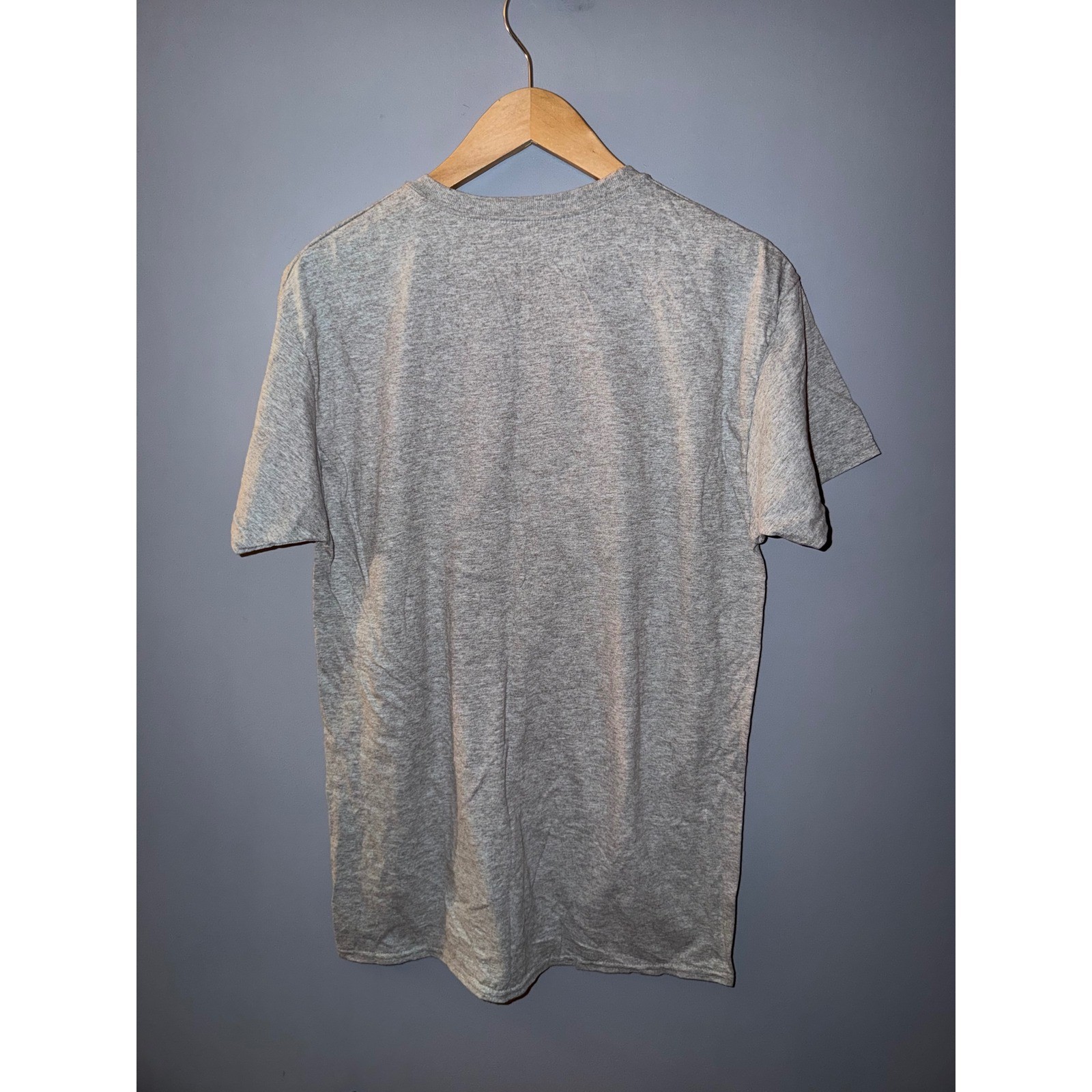 Hanes ComfortSoft I Ghost People All Year Round Graphic Tee Heather Gray Mens M