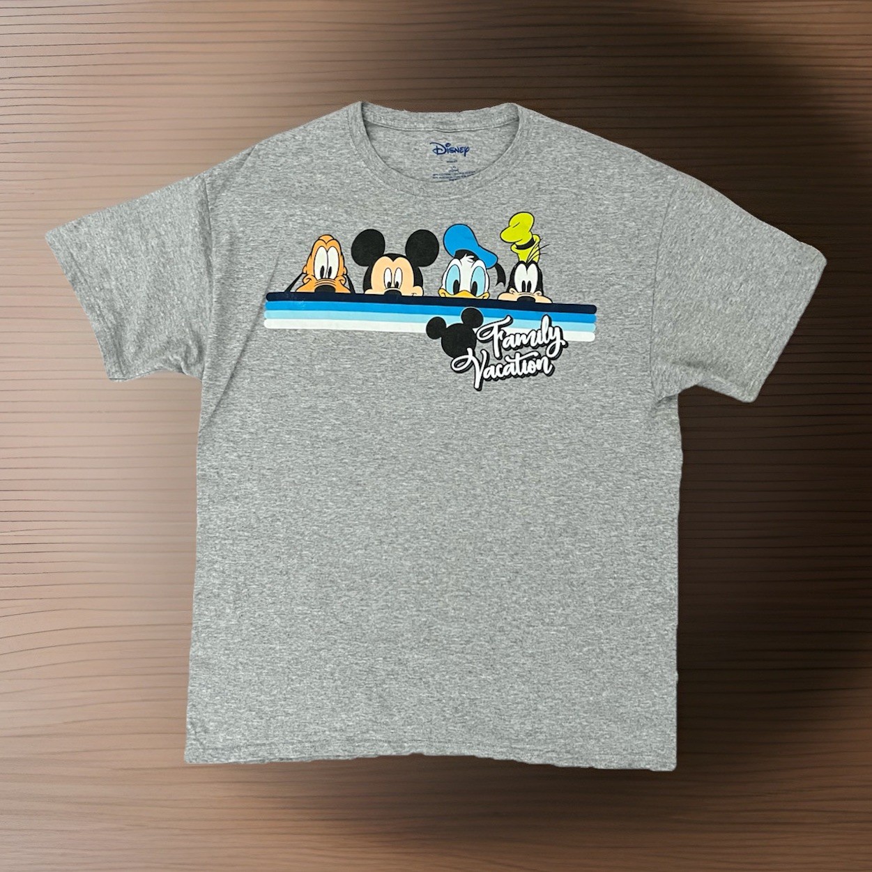 Disney Family Vacation T shirt Mens Gray Mickey Mouse Donald Pluto Goofy Size L