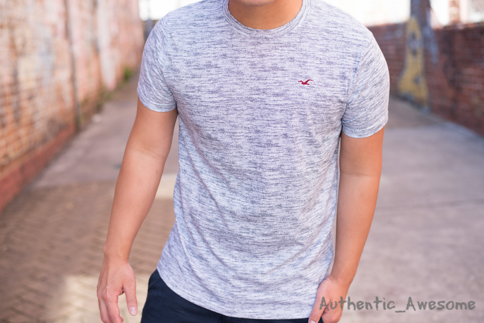 NWT Hollister By Abercrombie & Fitch Mens Must Have Crew V T-Shirt XS S M L XL