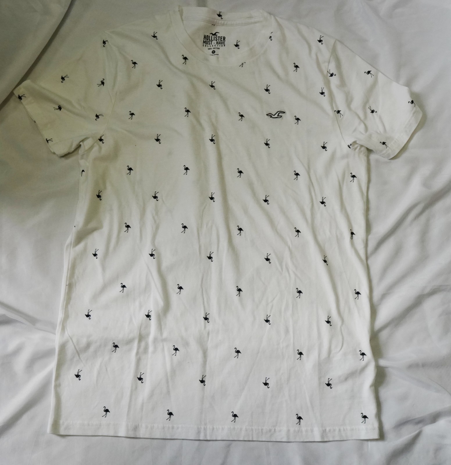 Hollister Must-Have Black Flamingo Short Sleave Men’s Shirt