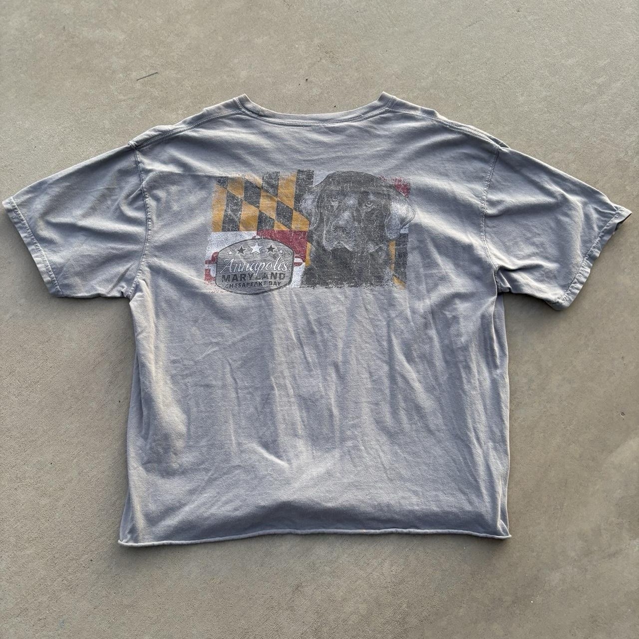 grey cropped annapolis maryland graphic tee Ships same day/next unisex graphic