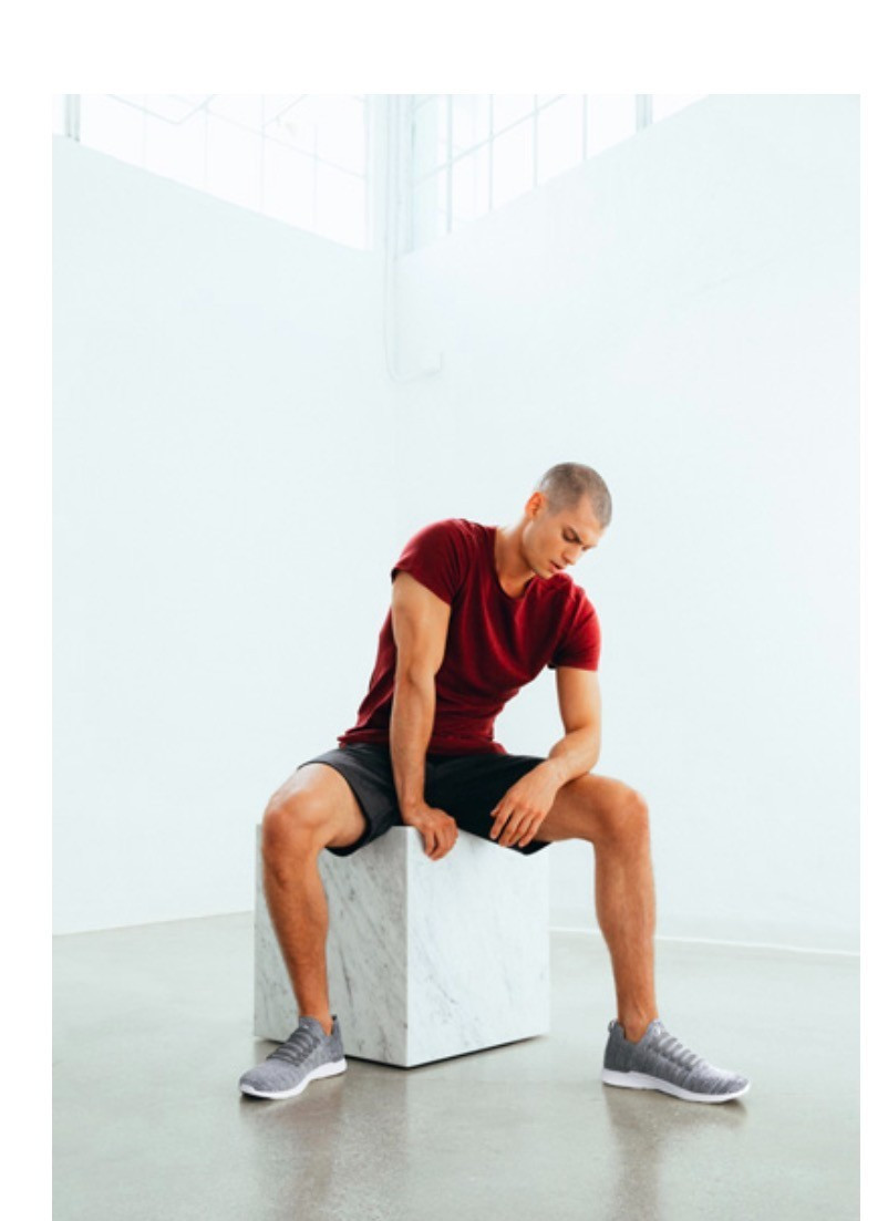 Athletic Propulsion Labs APL The Perfect Wool Blended Tee Burgundy Men’s Medium