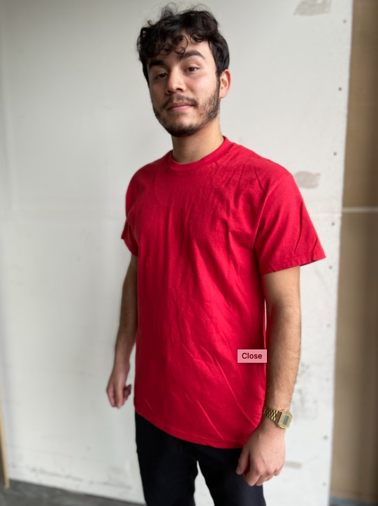 AAA Alstyle Mens Red Short Sleeves Tee Blank T-Shirt Casual T Shirt – 1301