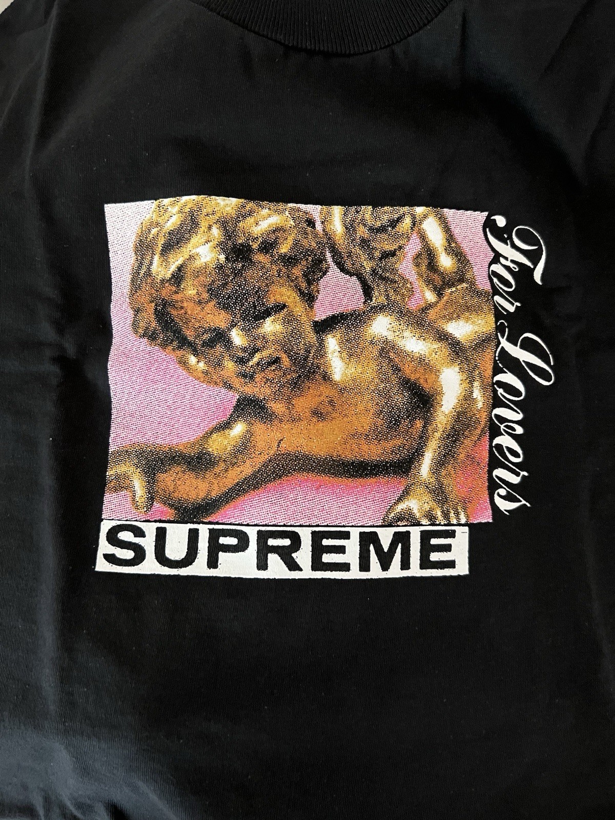Supreme New FW20 Lovers Tee T Shirt M 100% Authentic