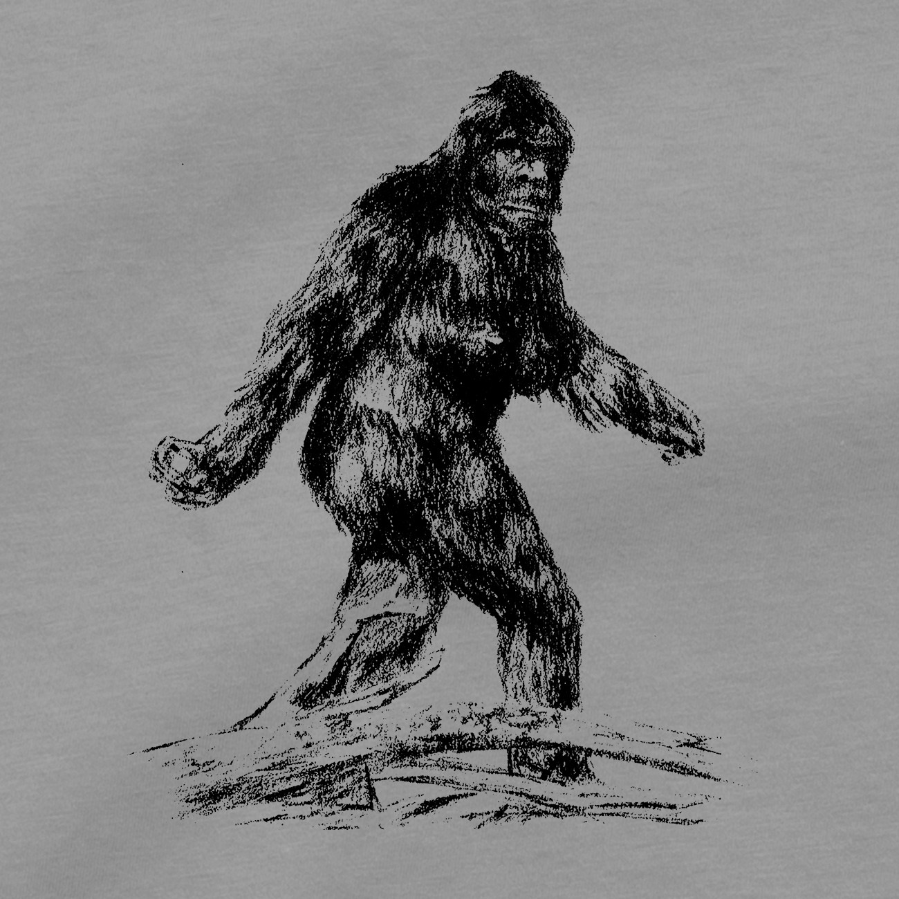 Bigfoot T Shirt I Want To Believe Yeti Sasquatch Sightings Hiking Camping Tee