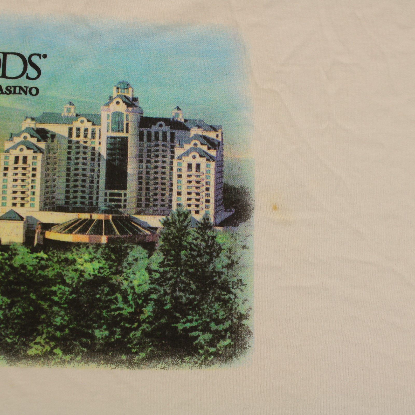 DELTA PRO Vtg 90s FOXWOODS RESORT CASINO Graphic T-SHIRT Men’s XL
