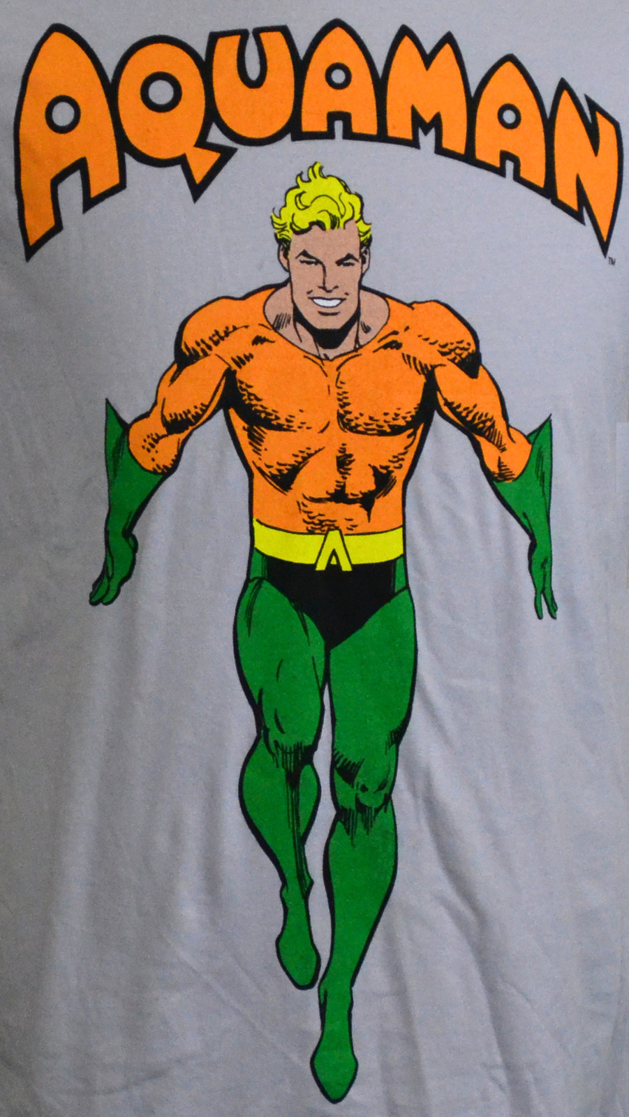 DC Comics Aquaman T-shirt Classic Comic Book Superhero Graphic Tee Gray NWT