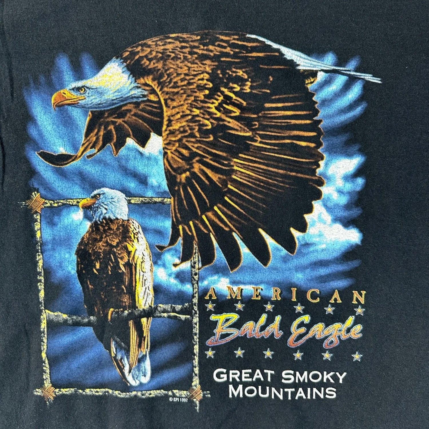 Vintage Y2K American Bald Eagle Great Smoky Mountains T-shirt LM009 FREE SHIP