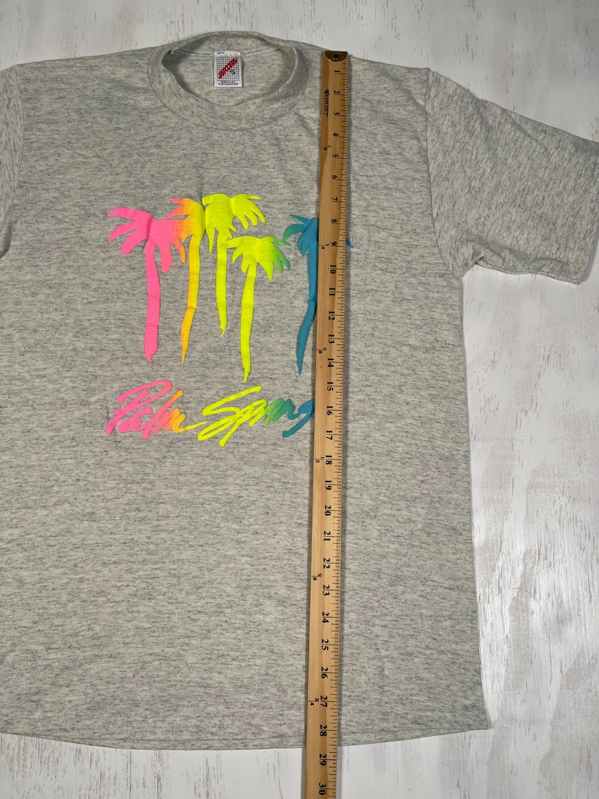 Vintage Palm Springs Men’s XL Gray Tee Single Stitch Puff Paint Made in USA