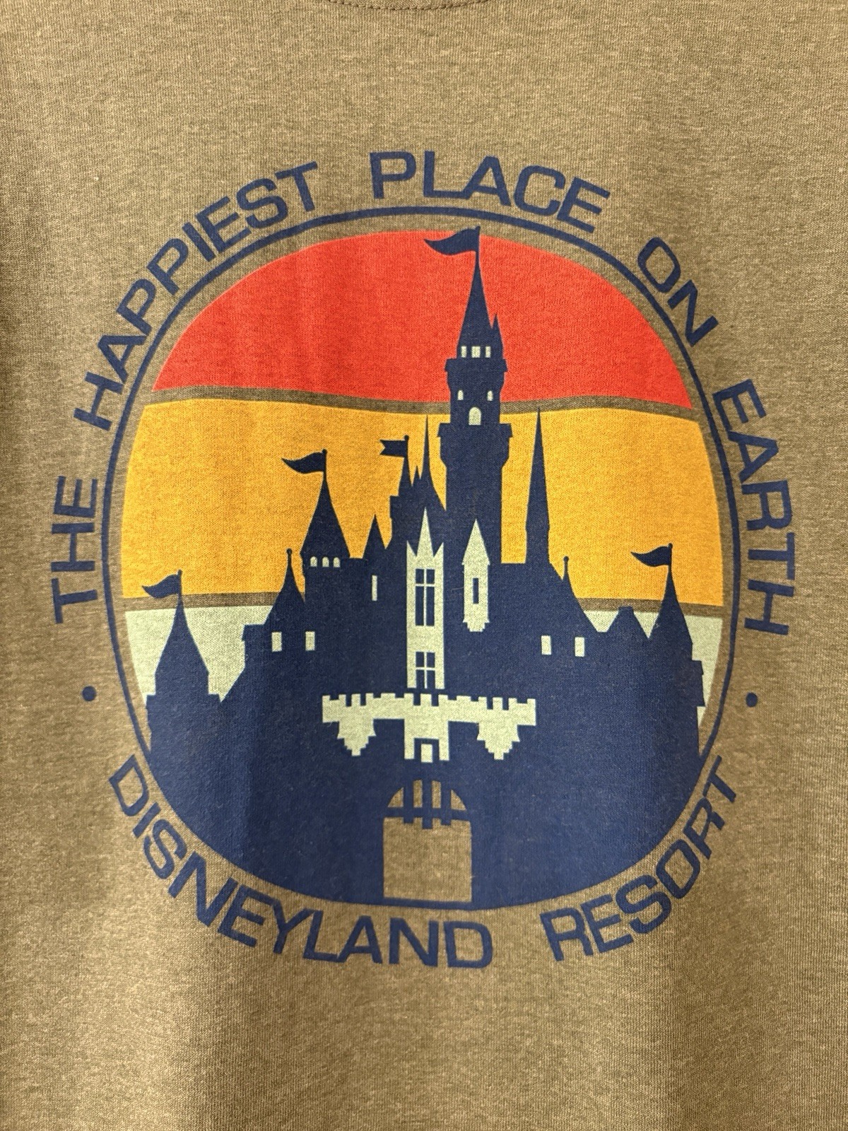 Disney T-shirt Large Disneyland Resort Graphic Happiest Place On Earth Sage Grn