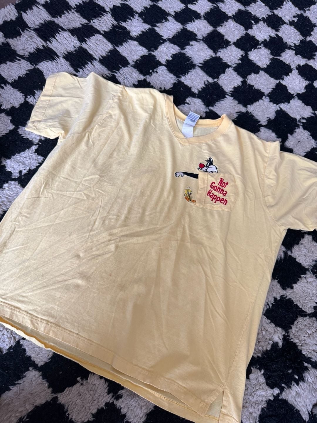 Vintage Looney Tunes Sylvester and Tweety Pocket V-Neck T-Shirt Not Gonna Happen