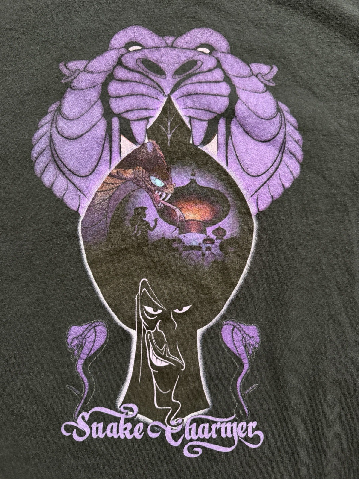 Disney Aladdin Movie Shirt Adult Medium Snake Charmer Jafar Cave Of Wonders