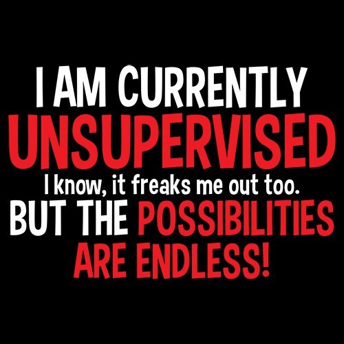 I Am Currently Unsupervised Sarcastic Humor Graphic Novelty Funny T Shirt