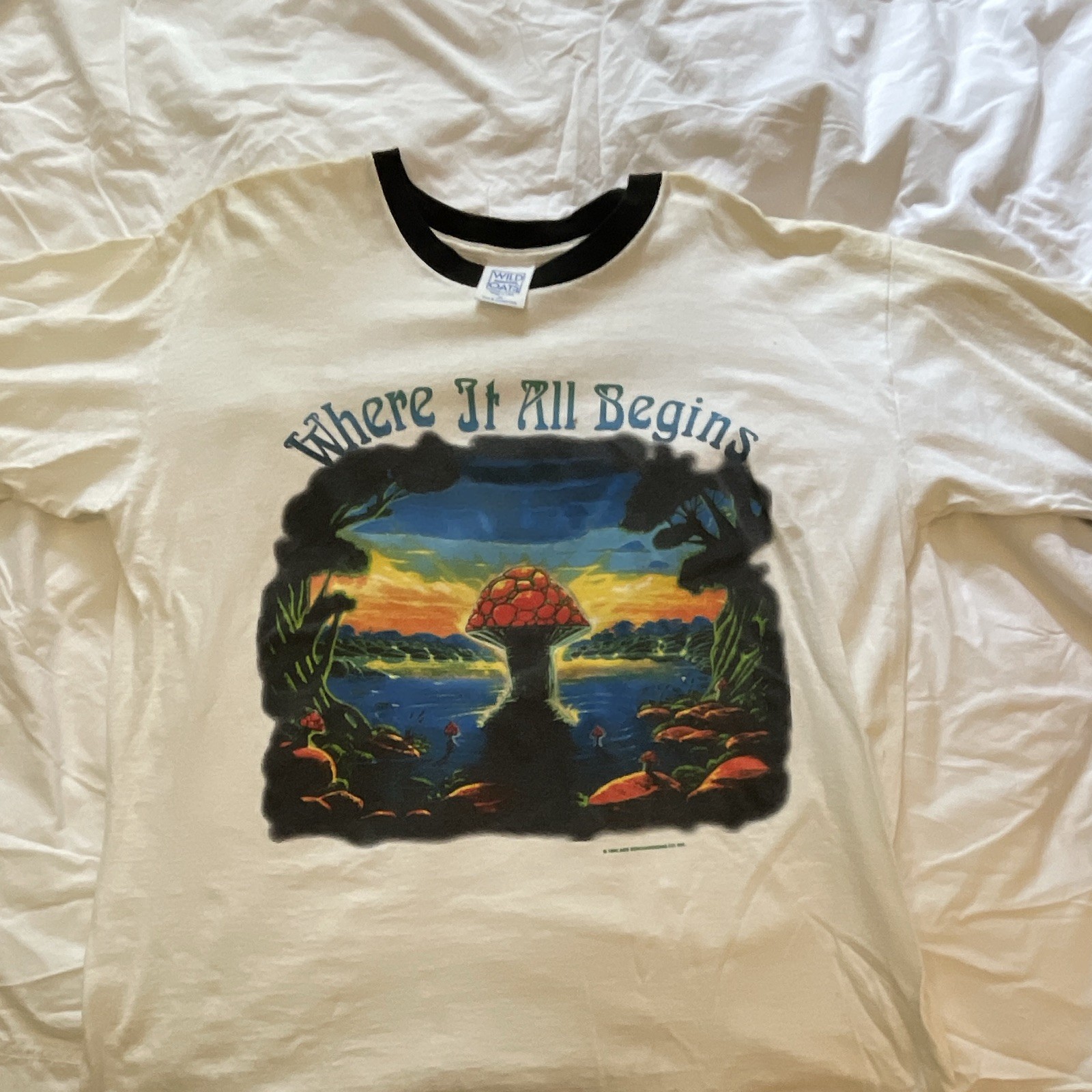 Vintage 90s TOUR Allman Brothers Band Shirt (1996 Tour)