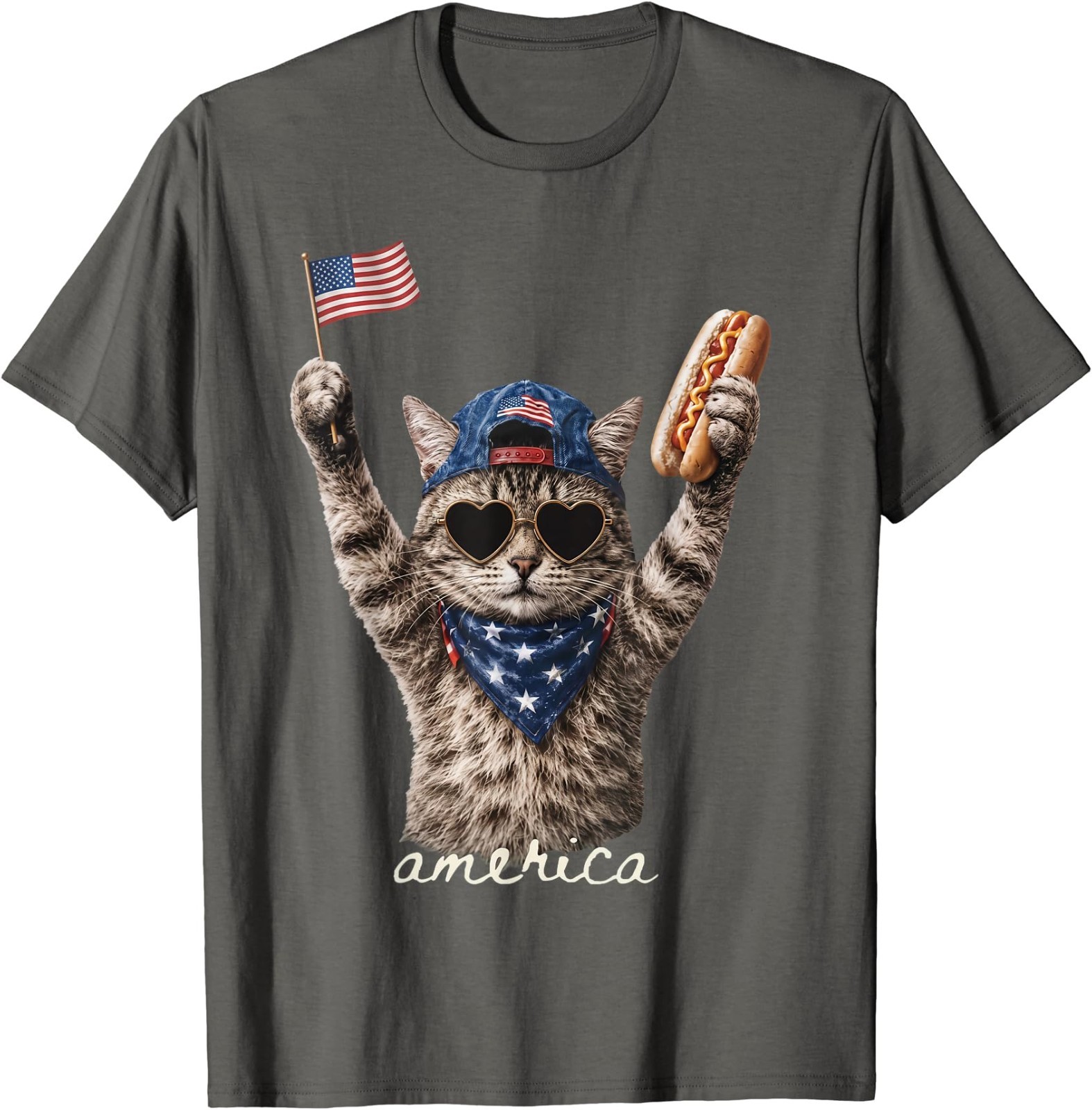 Retro Funny America Cat Hot Dog Lovers Patriotic US Flag T-Shirt